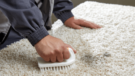 Professional Rug Cleaning Black Hill